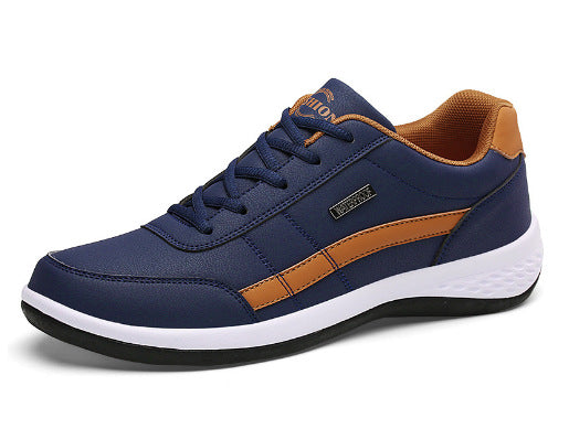 shoe